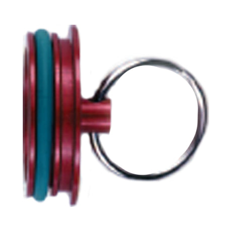 WIGGINS PLUG -32